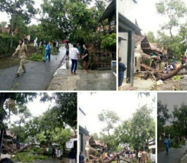 Puluhan Rumah Rusak Berat Akibat Hujan Deras Dan Angin Kencang di Desa Karang Malang Cirebon