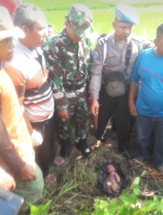 Penemuan Mayat Bayi, Gegerkan Warga Kecamatan Modo