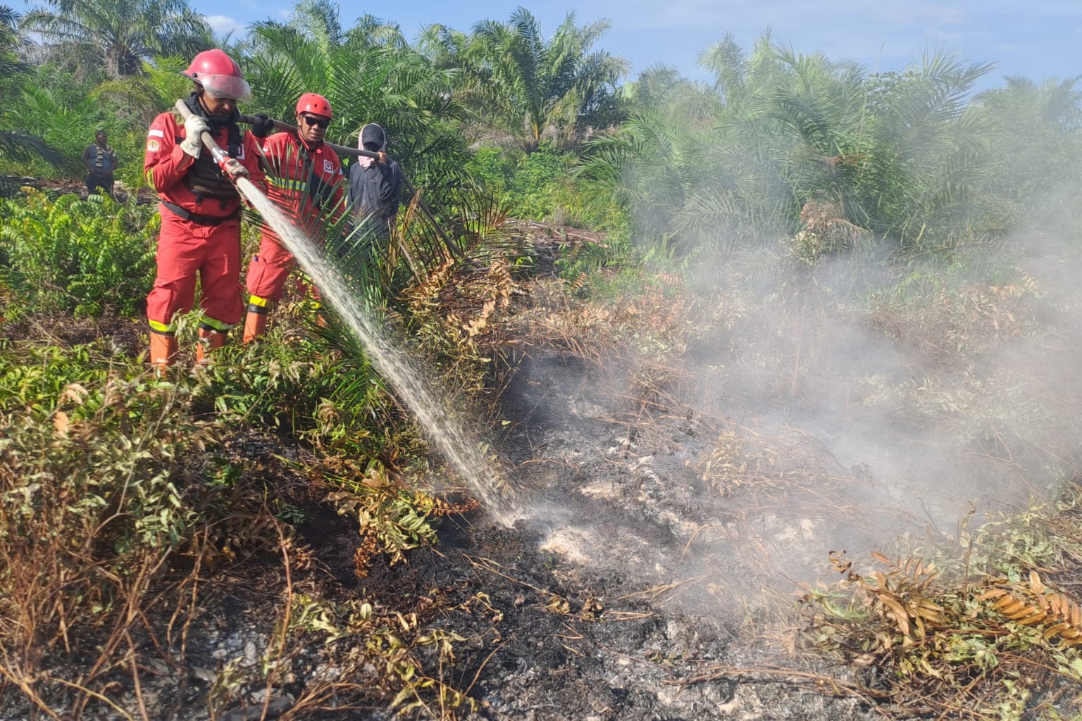 Tembus Jalur Sungai, Manggala Agni Kejar Api di Pematang Pudu