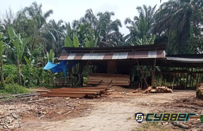 Diduga Dibekingi Tokoh Adat, 17 Sawmill Ilegal Bebas Beroperasi di Teratak Buluh
