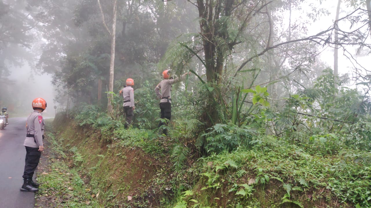 Tim SAR Sat Brimob Polda Jabar Cek Pohon Rawan Tumbang di Sekitar Jalan Lembang