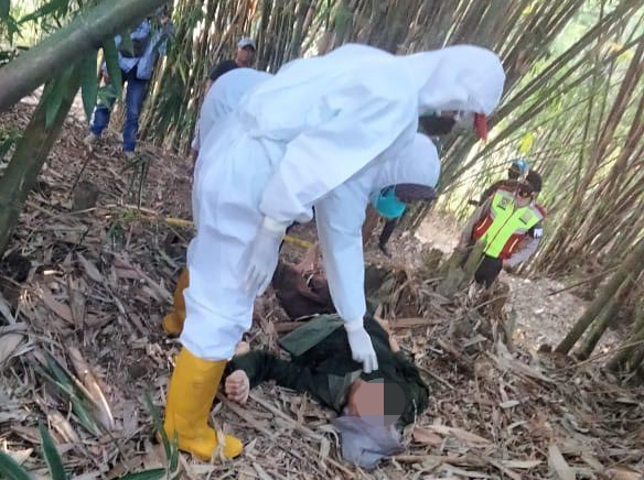 Penemuan Mayat Pria Tua di Kebun Bambu