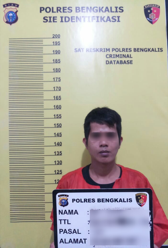 Polres Bengkalis Berhasil Mengamankan Satu Orang Diduga Pelaku Tindak Pidana Pencurian