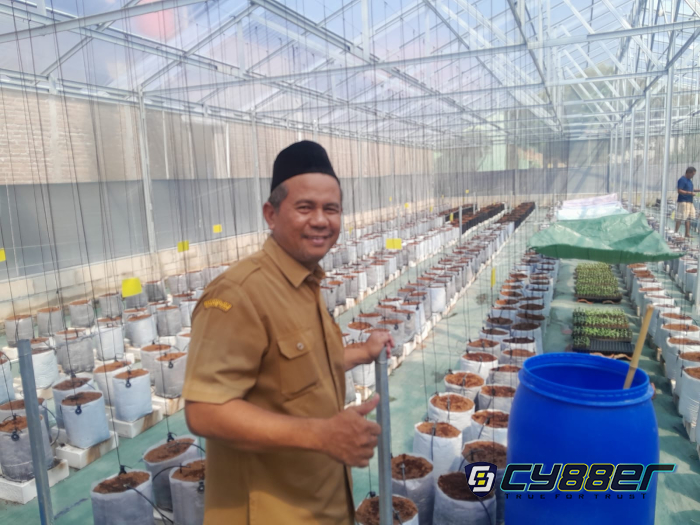 Desa Kunden Menuju Desa Mandiri Lewat Panen Perdana Melon