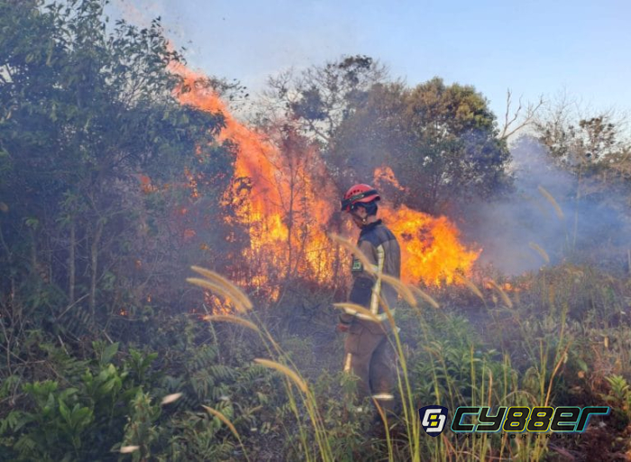 Pasca Karhutla, Peran MPA  tak Nampak  Padamkan Api