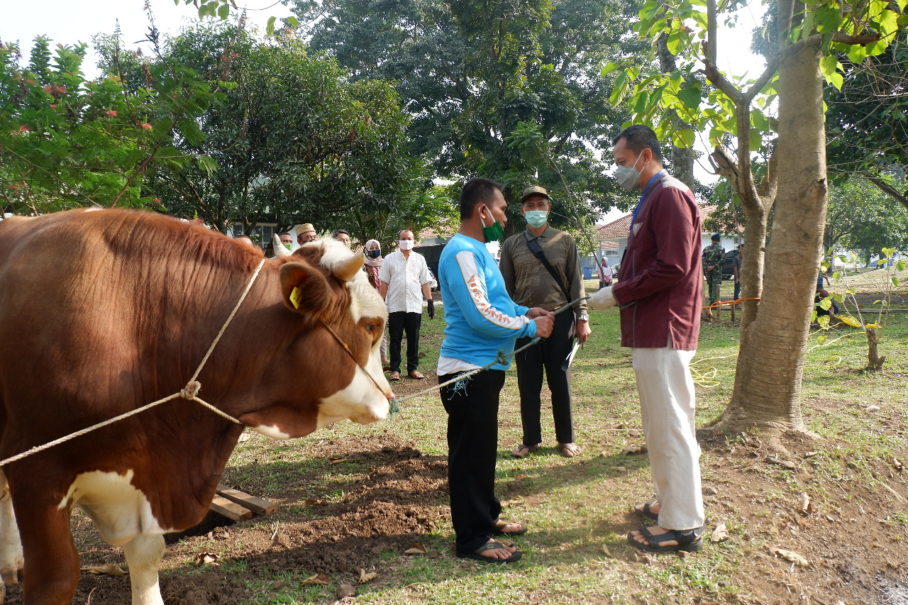Lanud Sulaiman Laksanakan Pemotongan Hewan Qurban pada Idul Adha 1441 H
