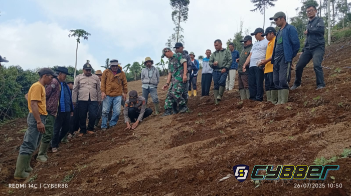 Poktan Sugih Mukti Tanam Kentang Perdana Lewat Program Upland 2025