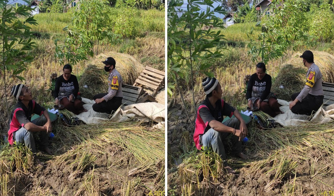 Memastikan Ketersediaan Pangan Bhabinkamtbmas Desa Tarunajaya Sambang ke Petani