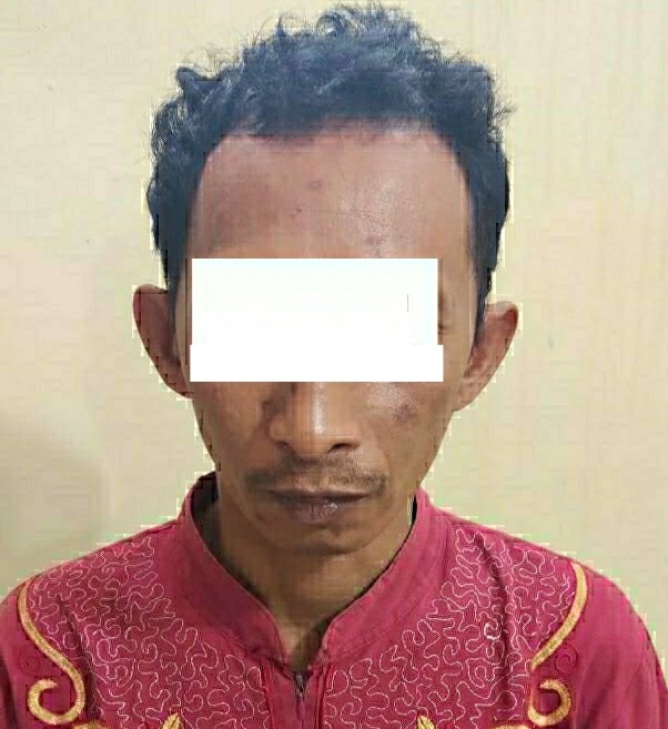 Coba Perkosa IRT, Remot Dibekuk Reskrim Polsek Tanjung Bintang 