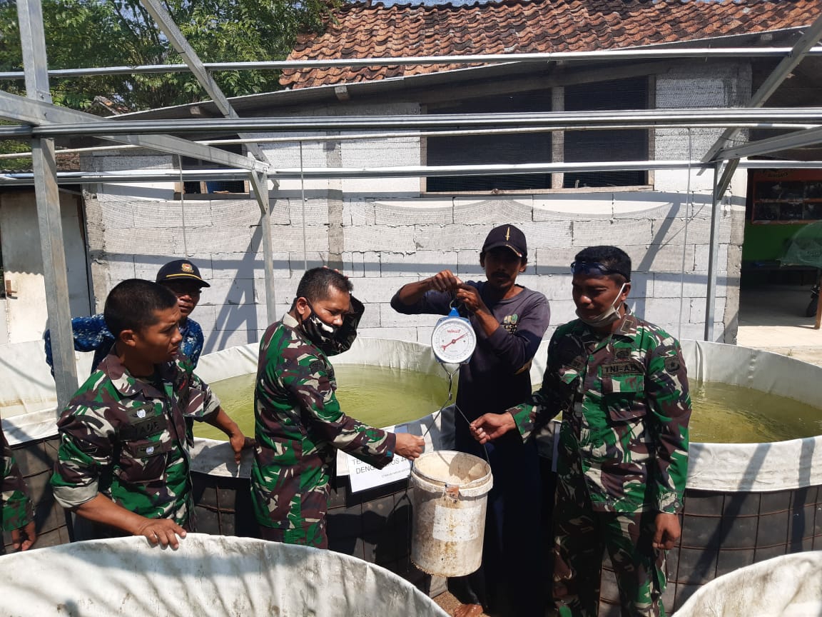 Dan Sektor 20, Tebar 500 Benih Bibit Ikan Nila Merah dI Kolam Bioflok Cipta Bina Mandiri Citarum Harum