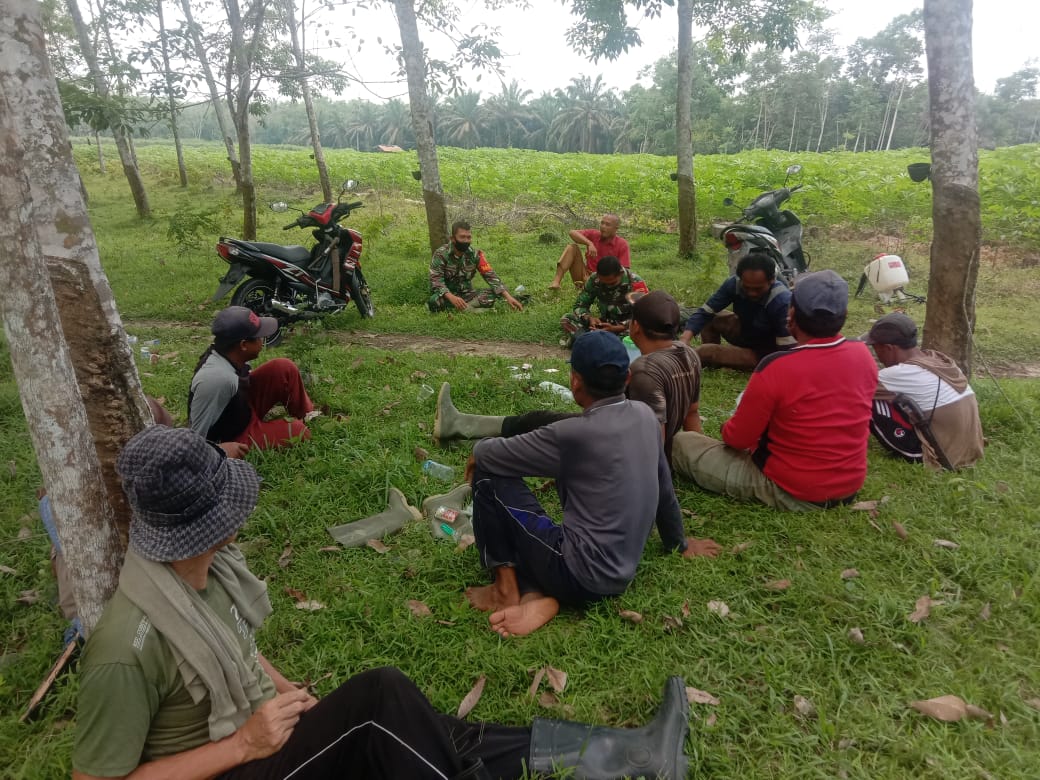 Babinsa Koramil 426-04/Banjar Agung, Ajak Warga Untuk Menanam Singkong 