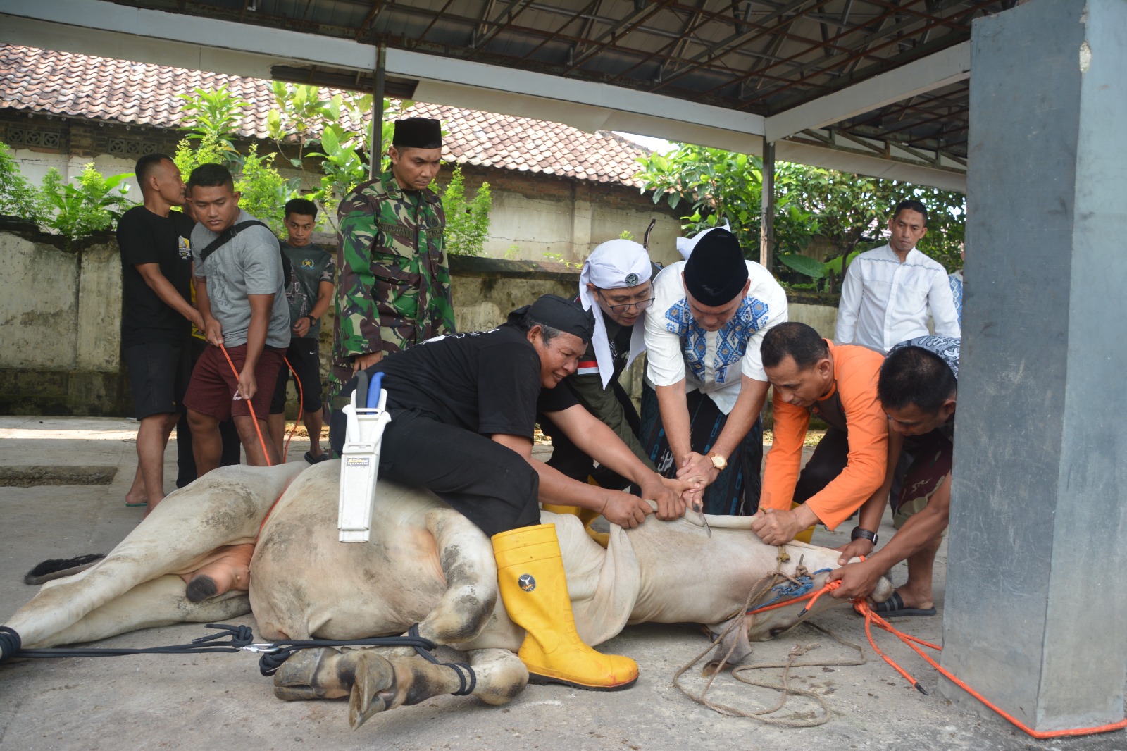 Gandeng Juru Sembelih Halal, Korem 064/MY Perlakukan Hewan Kurban dengan Ihsan
