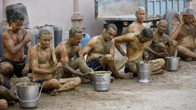 Sebagian Warga India Yakini Kotoran Sapi dapat Menangkal Corona