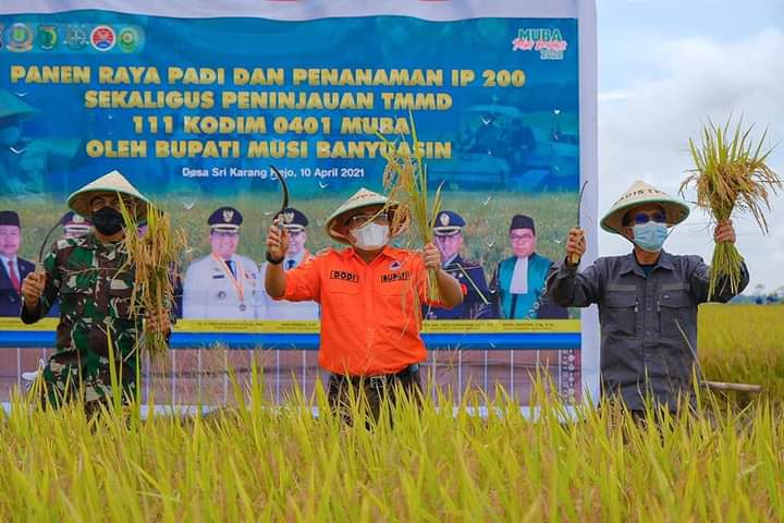 Kabupaten Muba Sebagai Lumbung Padi Dibawah Kepemimpinan Bupati Dodi