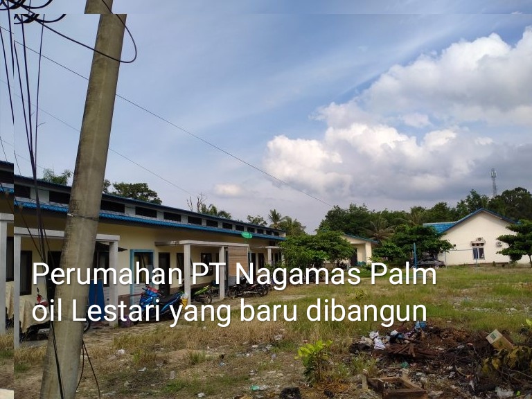 Perumahan PT. Naga Mas Janur Kuning Kota Dumai Diduga Belum Miliki IMB
