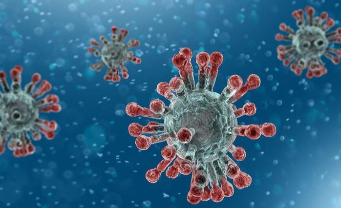 Simpang Siur Berita Korban Virus Corona di Sindangpanon Banjaran Mendapat Tanggapan dari Ketua WN 88 Bandung
