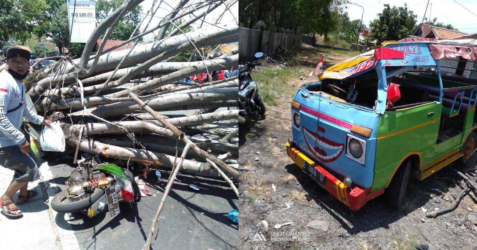 7 Orang Dilarikan ke Rumah Sakit Akibat Tertimpa Pohon Tumbang di Cirebon