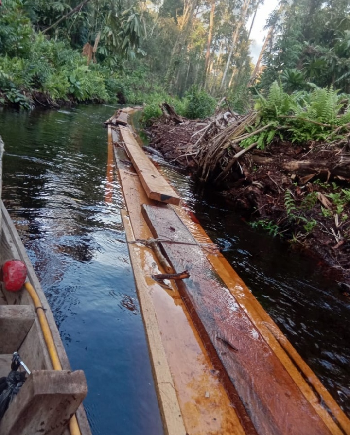 Kegiatan Illegal Logging di Kecamatan Sungai Sembilan Normal Kembali