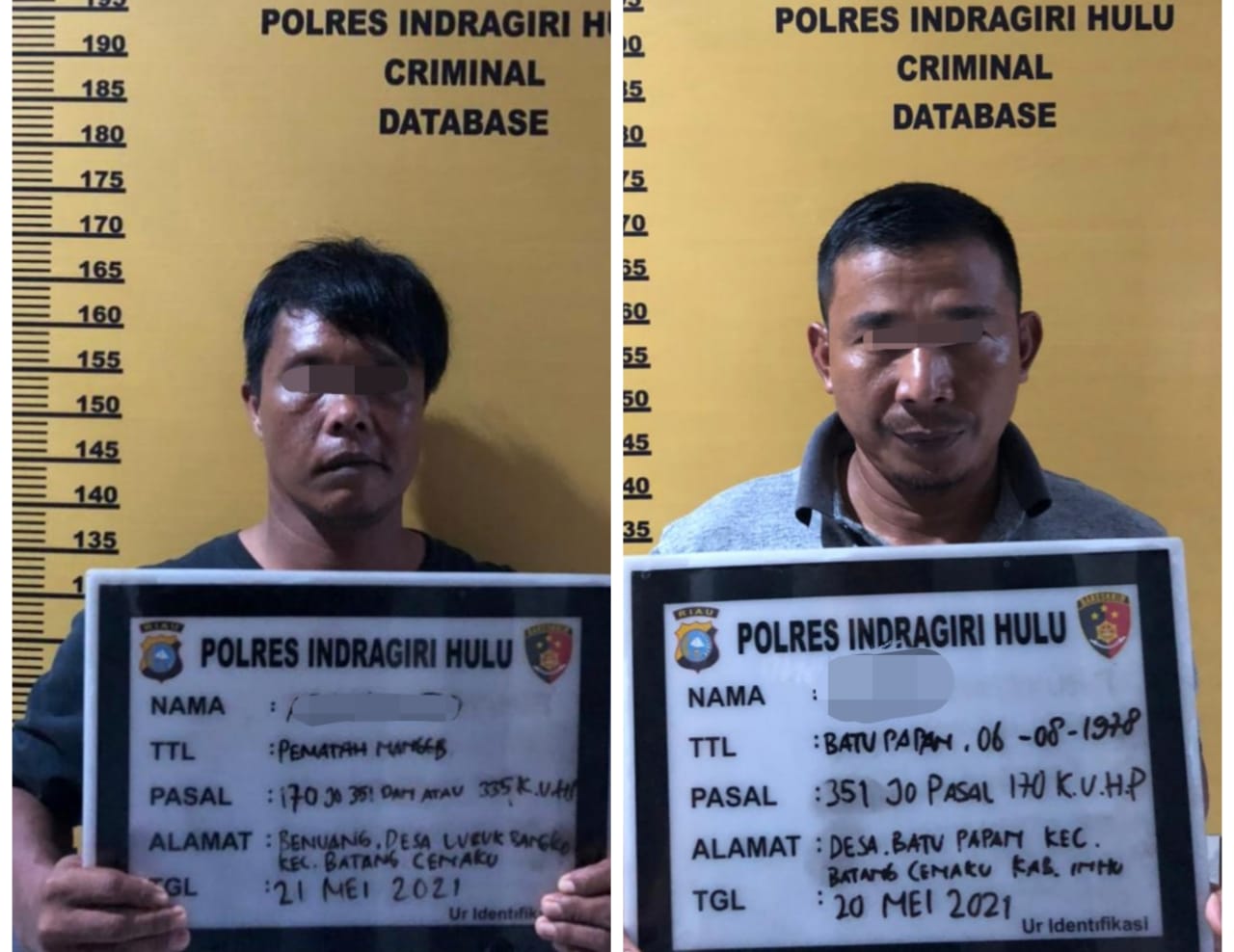 Bentrok NIBA dan SPTI di Batang Cenaku, Polres Inhu Amankan 2 dari 7 Tersangka
