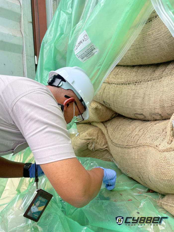 Periksa 200 Ton Biji Kakao, Karantina Kepri : Jamin Tidak Ada OPTK 