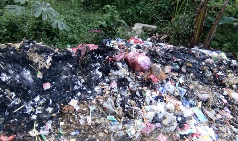 Tak Ada TPS, Warga Kampung Cileungsir Keluhkan Tumpukan Sampah di Pinggir Jalan Desa Cisalada Cigombong