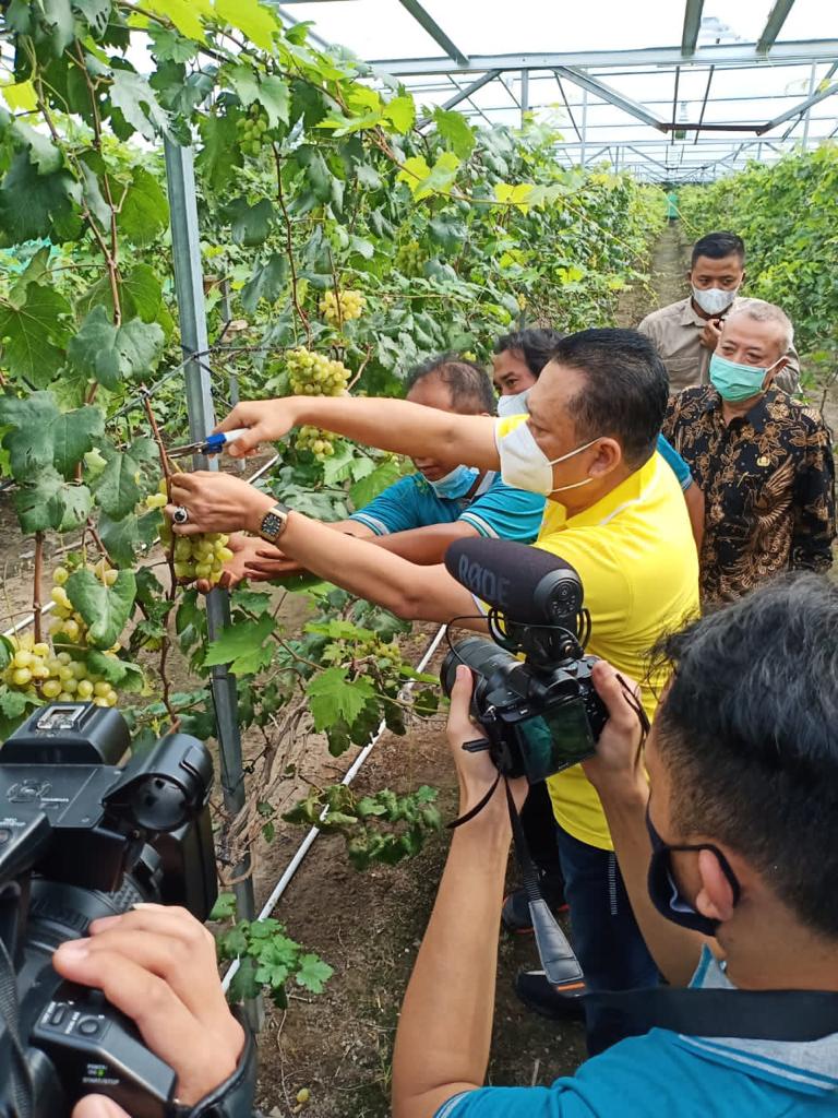 Bamsoet Dorong Pelaku UMKM Padukan Konsep Usaha dan Pariwisata