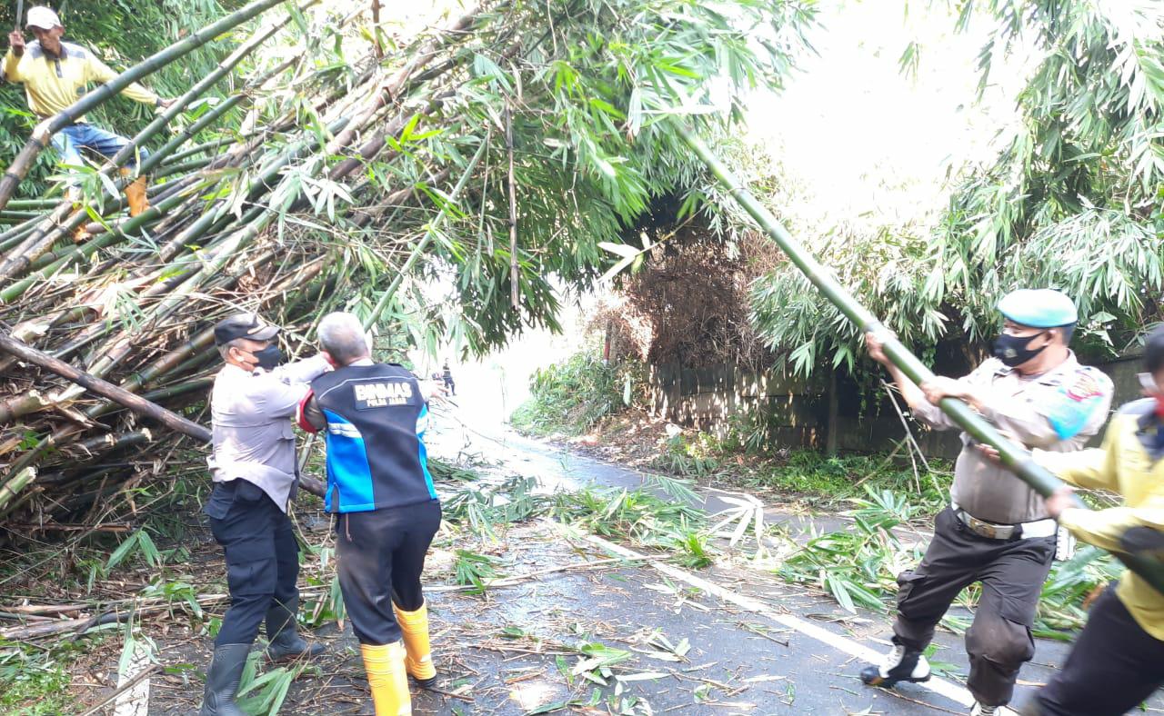 Polresta Bandung Polda Jabar Evakuasi Pohon Tumbang Bersama Warga dan Petugas PU