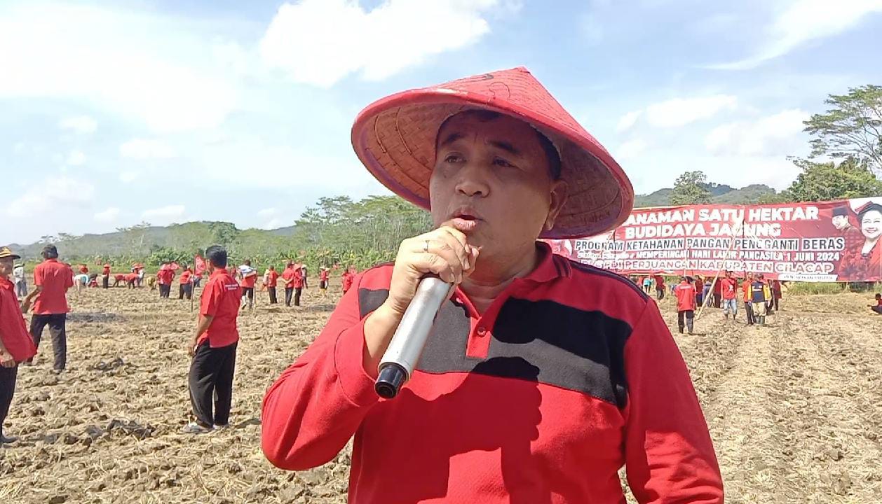 Ketua DPC PDI Perjuangan Cilacap Taufik Nurhidayat Tanam Jagung Bersama Ratusan Petani 