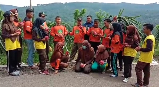 Kebun Buah Naga di Desa Majingklak Tawarkan Sensasi Petik Buah Sendiri