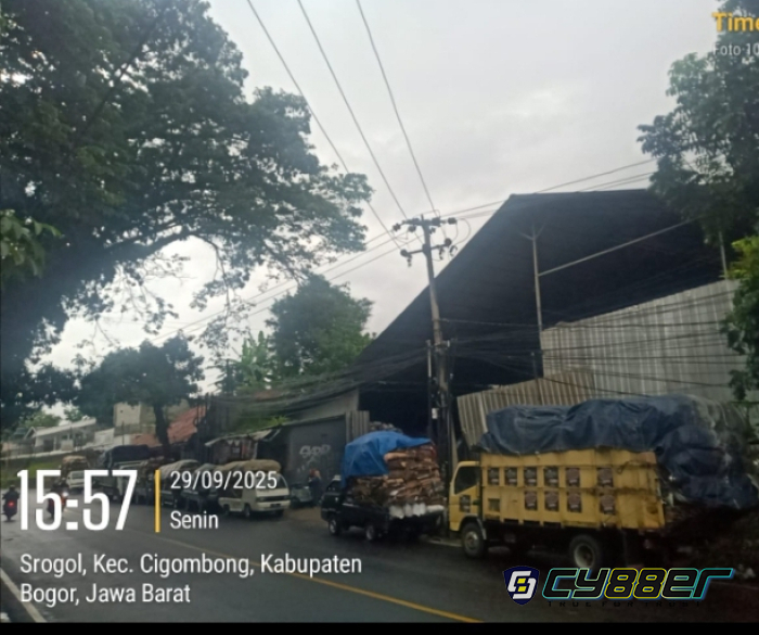 Pemilik Gudang Kardus di Desa Ciburuy Bogor Diduga UU Lalu Lintas dan UU Tentang Jalan, Bongkar Muat Truck di Bahu Jalan