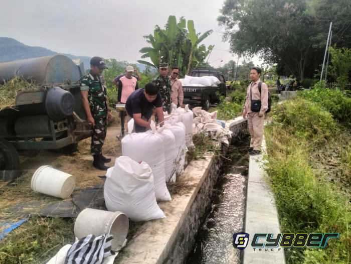 Danramil Wedi Klaten Monitoring Sergab, Pastikan Penyerapan Gabah Petani Optimal