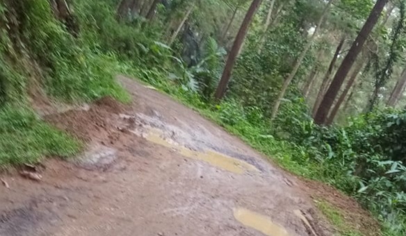 Jalan Penghubung Dua Desa dan Kabupaten Cilacap - Brebes Rusak Parah
