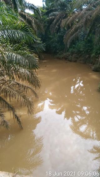 Diduga Tak Sesuai AMDAL, Kelapa Sawit Milik PT. BSS di Sepanjang Sungai Jerangkang