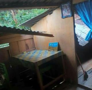 Intensitas Hujan Tinggi, Sebuah Pohon Kapuk Timpa Rumah Warga di Kabupaten Selayar