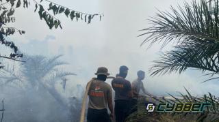 Cegah Meluasnya Api, 30 Personel Brimob Diterjunkan ke Lokasi Kebakaran Lahan di Betara