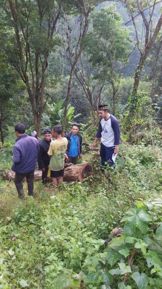 Polsek Measan Bondowoso Bekuk Pelaku Penebangan Pohon Hutan dan Amankan Barbuk