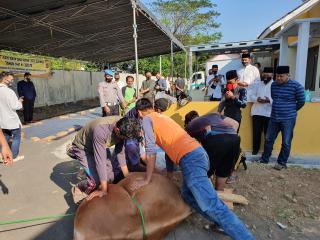 Hari Raya Idul Adha 1441 Hijriah Tahun 2020 Polres Majalengka Polda Jabar Sembelih 5 Ekor Sapi dan 30 Ekor Domba