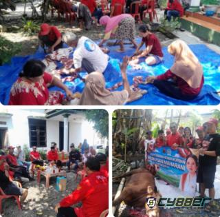 Kader PDIP Dapil 4 Klaten Sembelih Sapi Kurban Bantuan Puan Maharani, Dilaksanakan Serentak se-Jateng