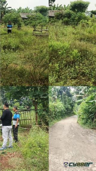 Lahan Strategis 2 Hektar di Lebakwana Serang Dijual, Cocok untuk Investasi dan Pengembangan