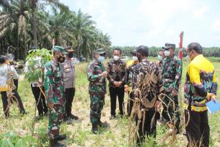 Tim Mabesad Tinjau Lahan Batalyon Inf 143/TWEJ di Mesuji