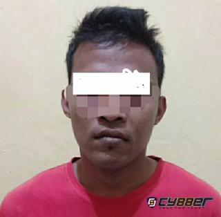 3 Kali Curi Getah Karet di PTPN VII Jati Agung, DPO Diringkus Polisi