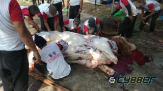Hari Raya Idul Adha 1442 H Polda Jabar Potong 38 Hewan Qurban