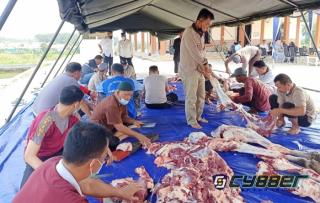 Polres Lamsel Lakukan Pemotongan Hewan Kurban, Kapolres : Penyaluran Tetap Lakukan Prokes