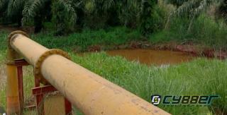 Kebun Warga Desa Sialang Taji Sering Tergenang, Diduga Air Buangan Kebun Sawit Perusahaan