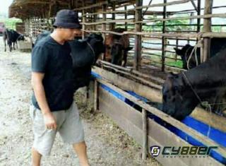 Fedrios Gusni Lirik Sektor Peternakan, Sebagai Penopang Ekonomi Rakyat