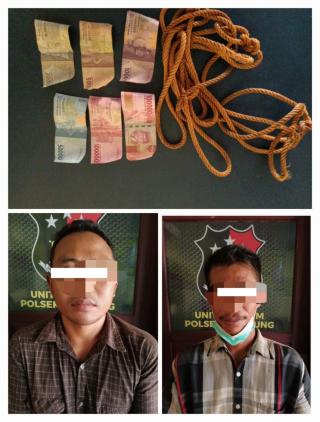 Dua orang Pencuri Ternak Sapi yang Resahkan Warga Diringkus Polisi