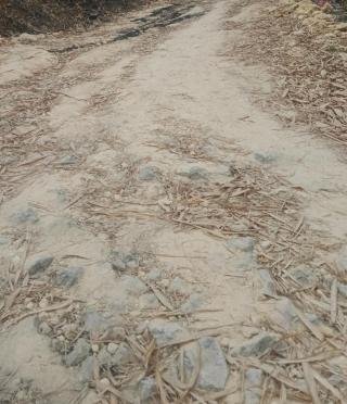 Jalan Rusak dan Jembatan Penghubung Perbatasan Desa  Badung dan Desa Pangudung Tidak Ada 