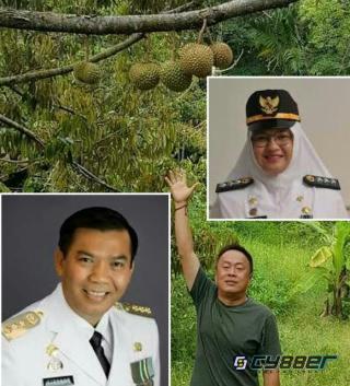 Mantan Camat Rumbai Barat Bungkam Terkait Kepemilikan Sah Ratusan Hektar Lahan Durian Milik Sujono 