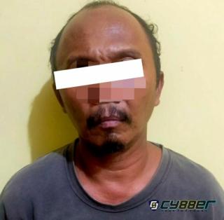5 Tahun Buron USai Curi Sapi, SUR Akhirnya Diringkus Polisi