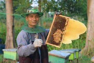 Pemuda Desa Calon Pelaut Banting Setir Menjadi Petani Sukses